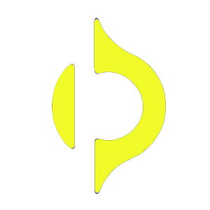 Palydin logo